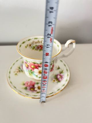 Taza y platillo de porcelana de Royal Albert