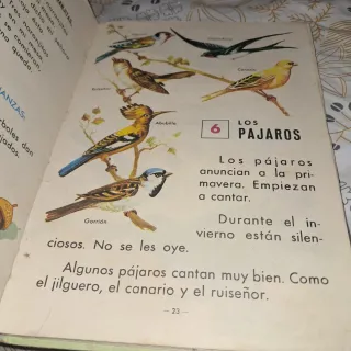 Libro lengua española 1° EGB