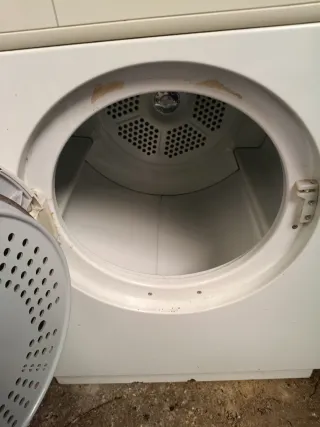 Secadora EDESA SE-300