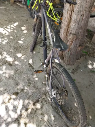 Bicicleta de Montaña