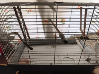 Gabbia per uccelli marrone e grigio