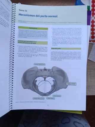 Manual Amir Ginecología