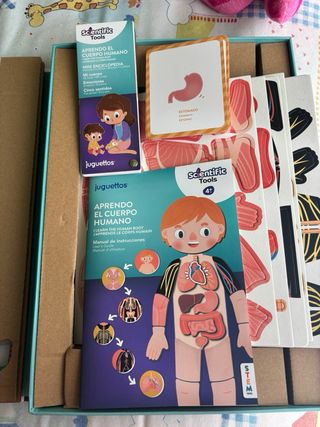 Juego Juguettos Aprendo El Cuerpo Humano