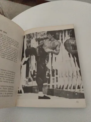 El libro de oro de Bruce Lee