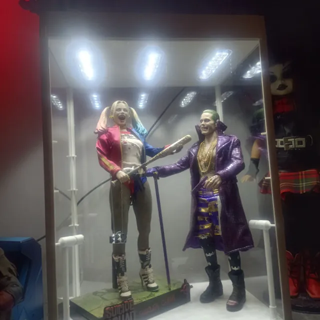 Vitrina expositora figuras 43x29 cm