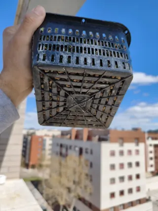 REBAJA Bonsái Zelkova Nire