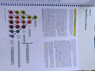 Miscelánea Amir (Anestesia, Geriatría, Farma...)