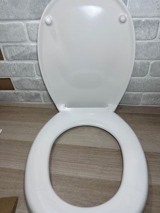 Asiendo de wc Schutte