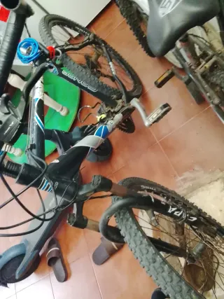 Bicicleta de montaña