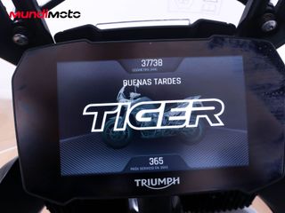 TRIUMPH TIGER 900 RALLY PRO