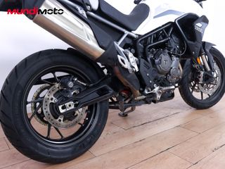 TRIUMPH TIGER 900 RALLY PRO