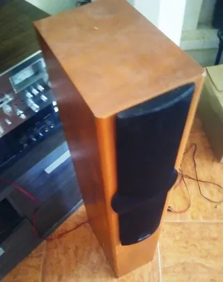 Altavoces Pioneer 80W 8 Ohm Marrones