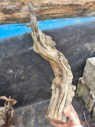 Raíz decorativa para bonsái o terrario