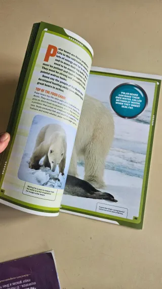 National geographic kids: polar bear rescue