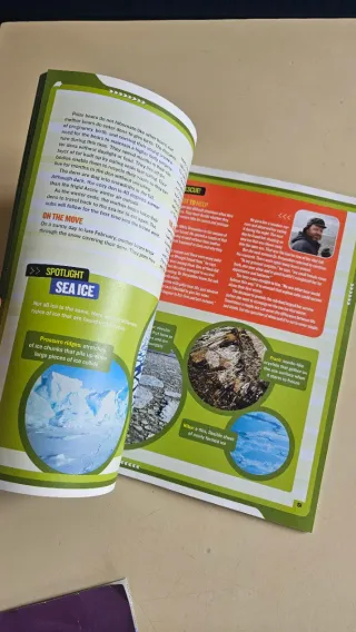 National geographic kids: polar bear rescue