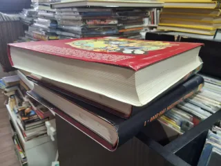 La Biblia del Manga: Tecnicas, Trucos y Estilos