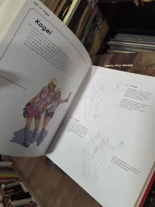 La Biblia del Manga: Tecnicas, Trucos y Estilos