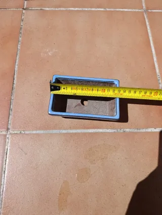 Macetas de terracota para bonsáis