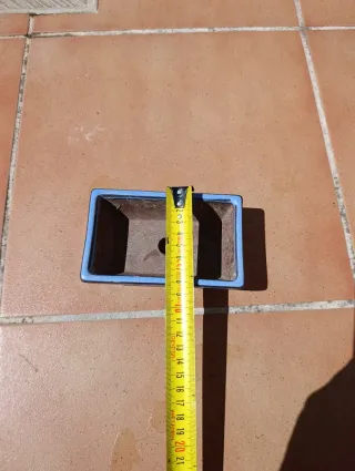 Macetas de terracota para bonsáis