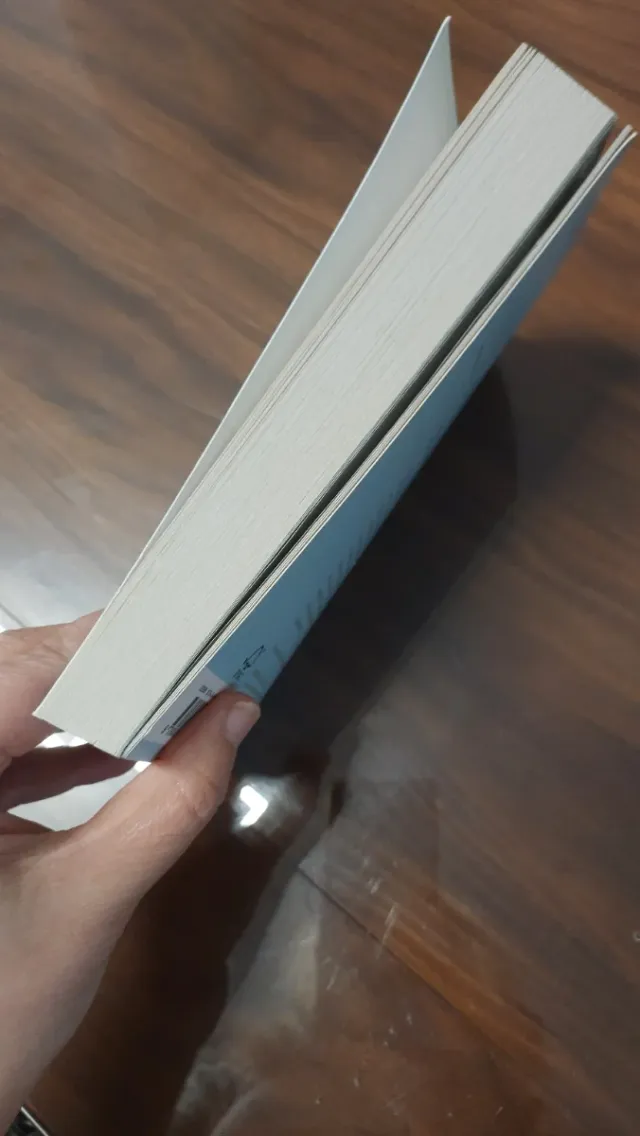 Libro EL MISTERIOSO ASESINATO DEL PERRO A MEDIANOC