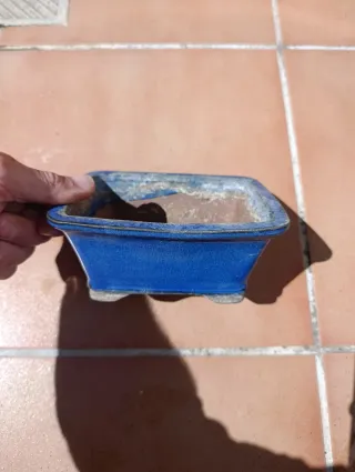 Lote 2 Macetas Bonsái Cerámica Azul