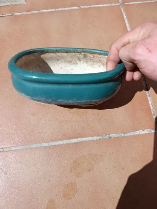 Lote 2 Macetas Bonsái Cerámica Azul