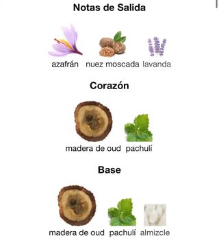 BADEE AL OUD FOR GLORY - LATTAFA - PERFUME ARABE