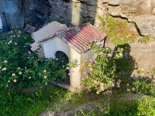Casetta per cani in pietra e terracotta