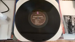 Vinilo LP Punk-O-Rama