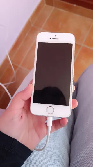iPhone 5s Blanco - No coge Carga