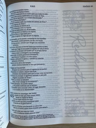 Biblia Inspira Ntv Con Filament (Tapa Dura