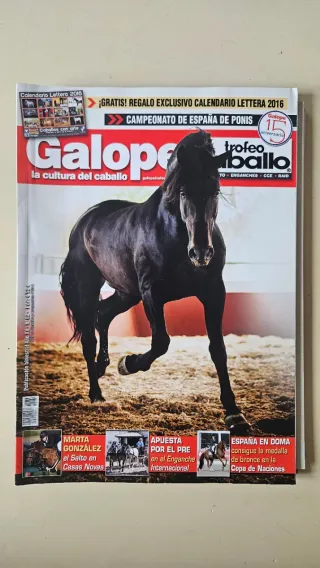Pack 6 revistas animales