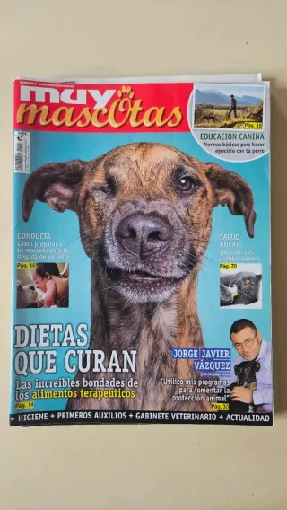 Pack 6 revistas animales