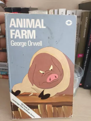 Libro