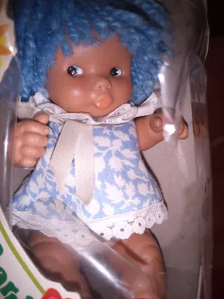 Precioso Barriguitas Colorín mulato azul.En caja