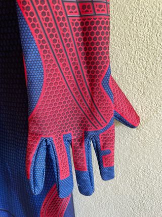 Costume The Amazing Spider-Man (cosplay)