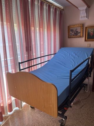 Cama Ortopédica Articulada con Colchón