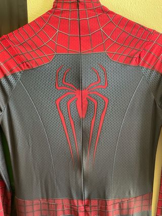 Costume The Amazing Spider-Man 2 (cosplay)