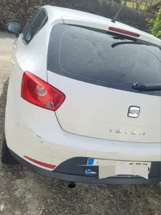 SEAT Ibiza 2010
