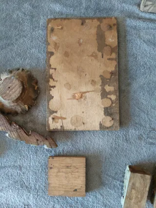 Retablos de madera tallada