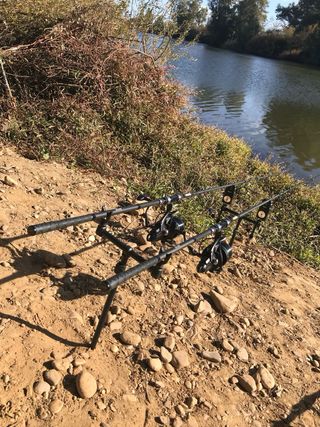 Canne da pesca alla carpa