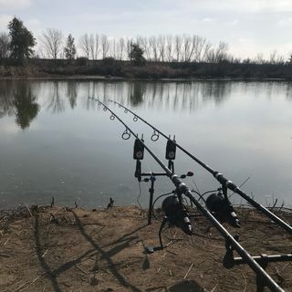 Canne da pesca alla carpa