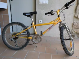 Bicicleta Infantil Monty 20" con marchas