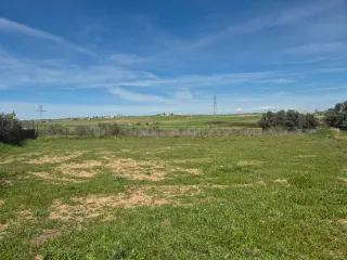 ¡OPORTUNIDAD ÚNICA! PARCELA DE 1.732 m² YUNCOS