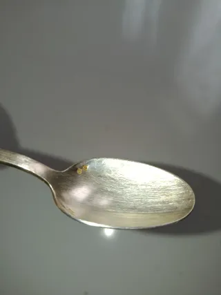 Plato y cuchara de plata