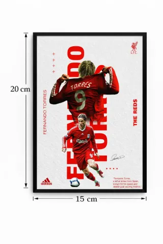 Poster incorniciato Fernando Torres - Liverpool F.C.