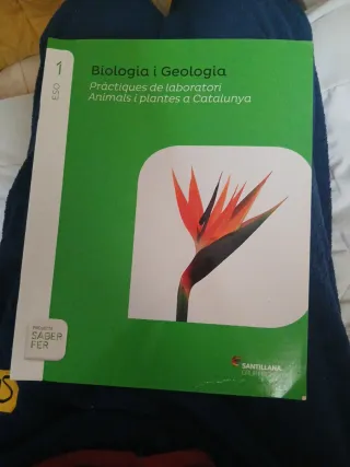 TECNOLOGIA SERIE CONSTRUEIX 2 ESO SABER FER