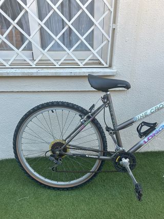Bicicleta Longway Pine Cross
