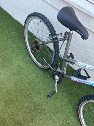 Bicicleta Longway Pine Cross