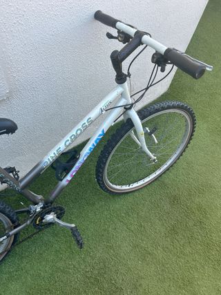 Bicicleta Longway Pine Cross